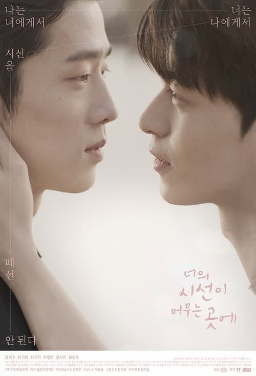 Постер: 너의 시선이 머무는 곳에
