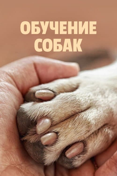 Постер: Обучение собак