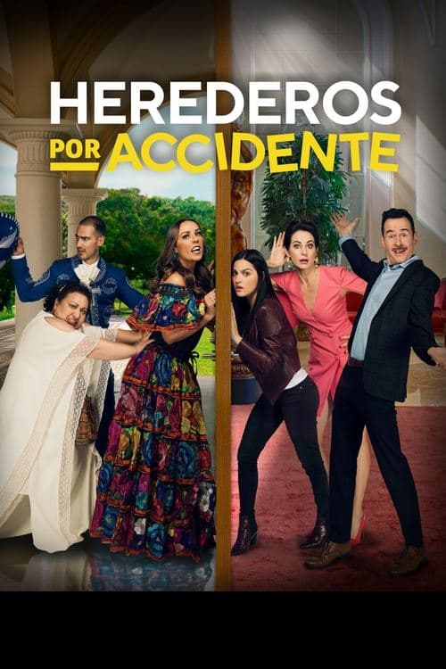 Постер: Herederos por accidente