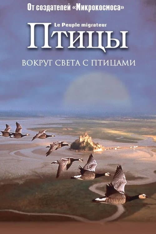 Постер: Птицы