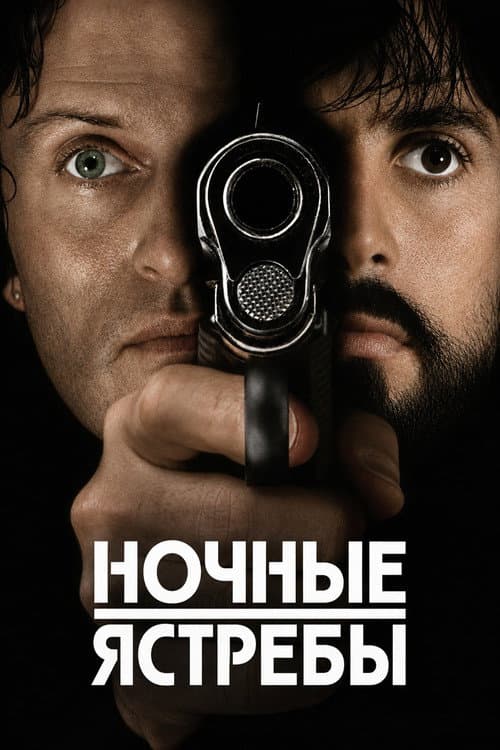 Ночные ястребы