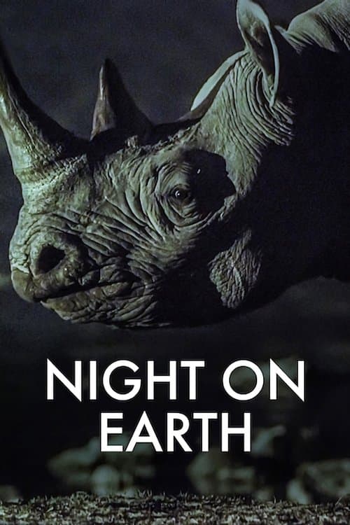 Постер: Night on Earth