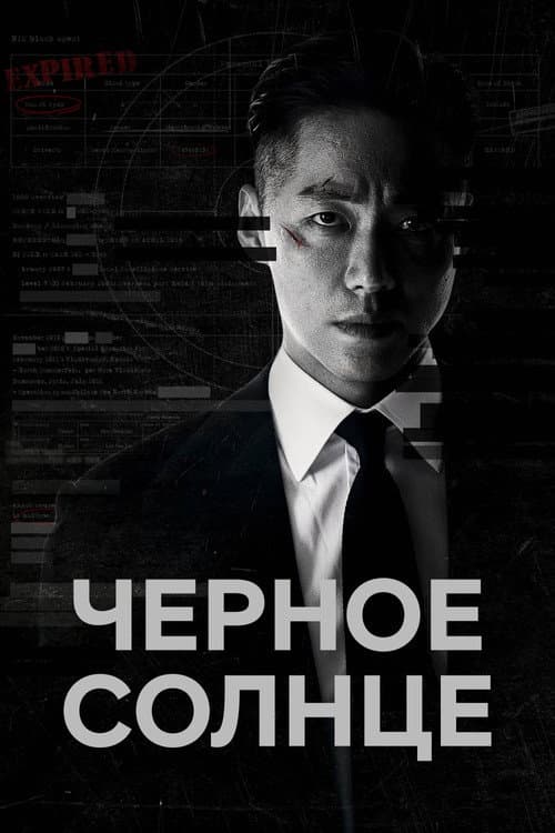 Постер: Чёрное солнце