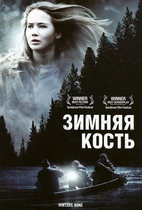 Зимняя кость