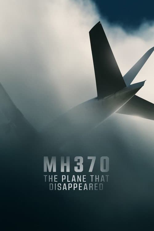 Постер: MH370: Самолёт, который исчез
