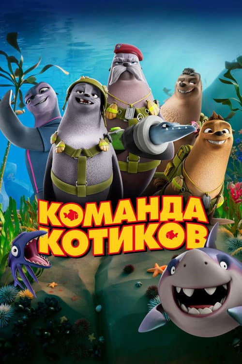Команда котиков