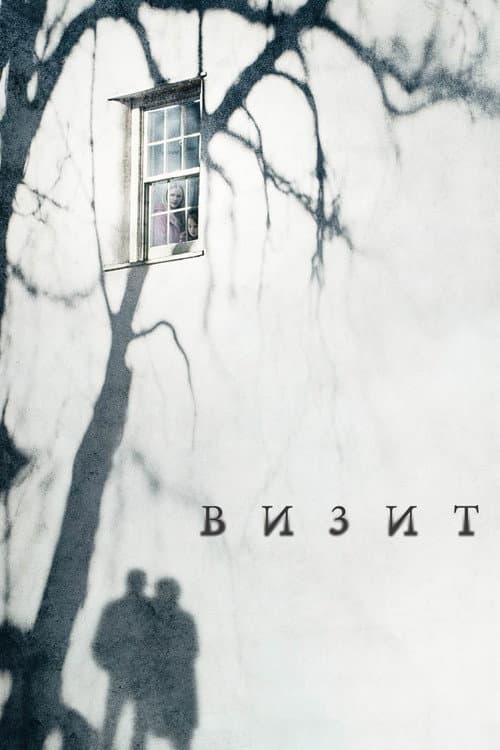 Постер: Визит