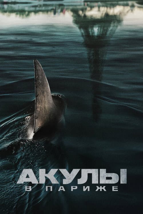 Постер: Акулы в Париже