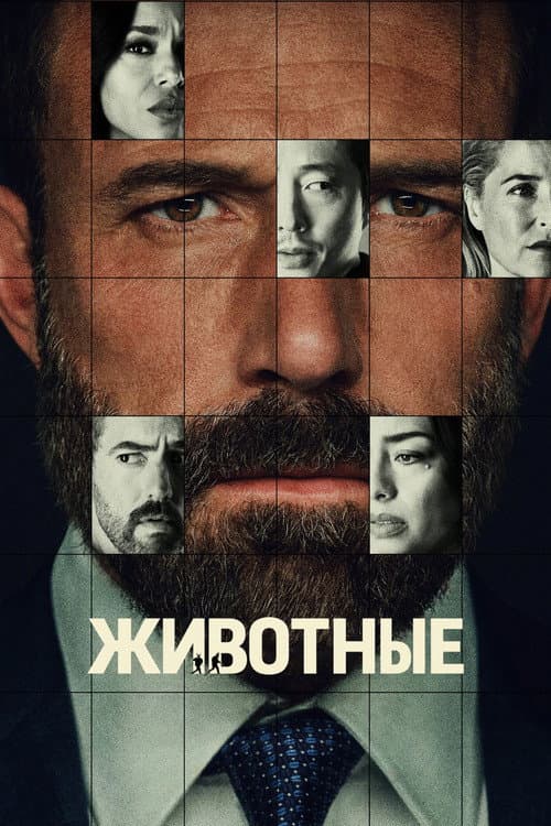 Постер: Животные