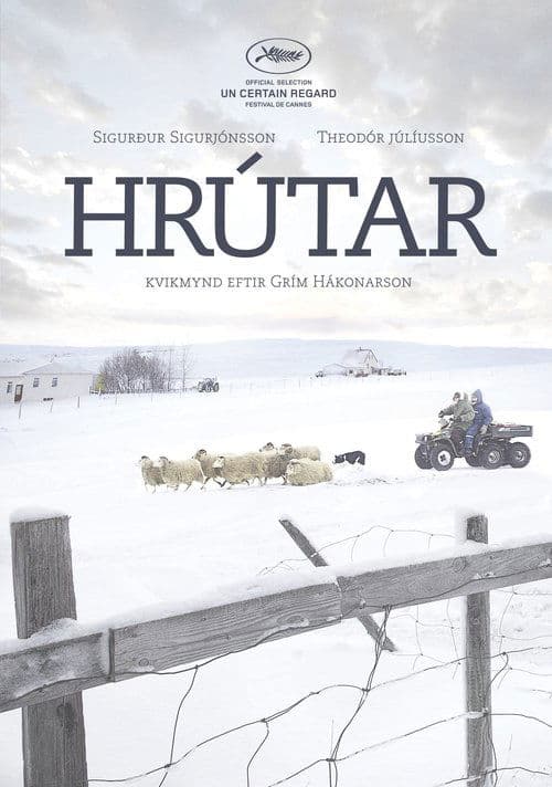 Постер: Бараны