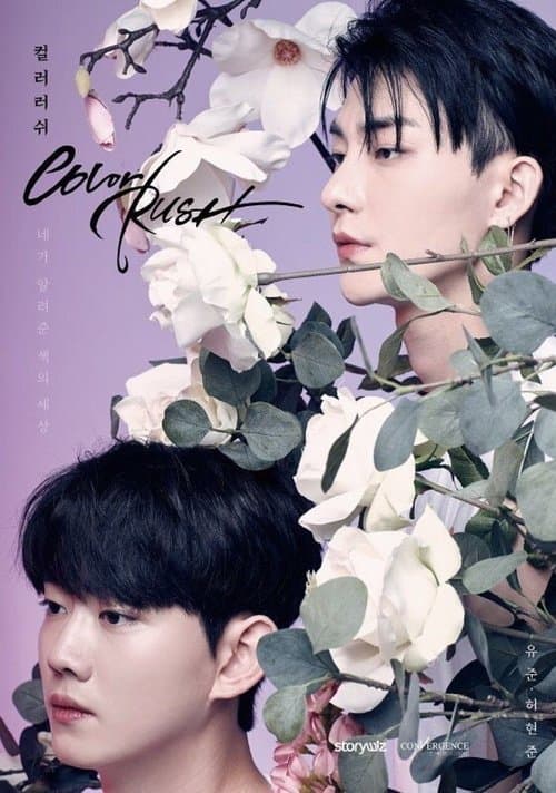Постер: 컬러 러쉬