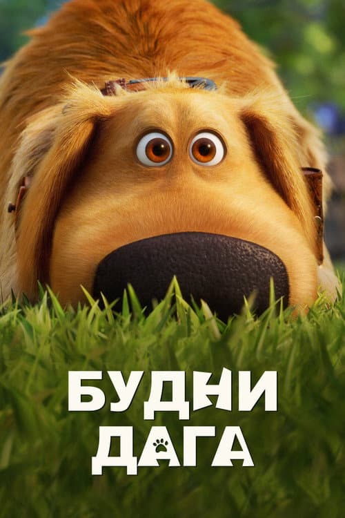 Постер: Будни Дага