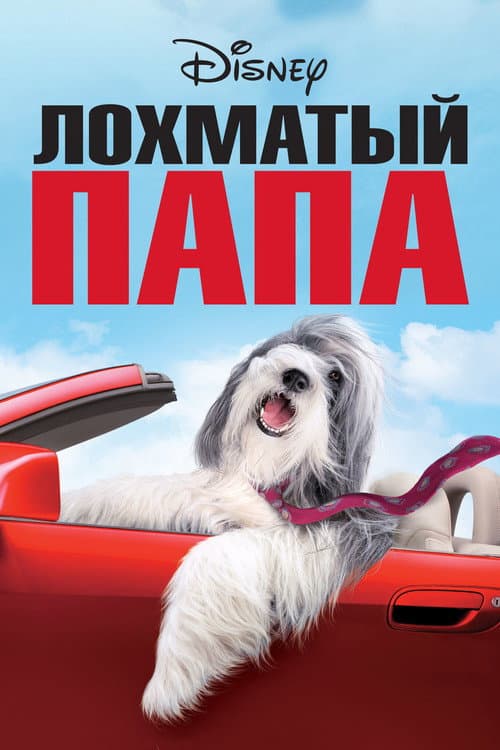 Постер: Лохматый папа