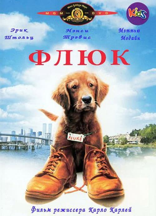 Постер: Флюк