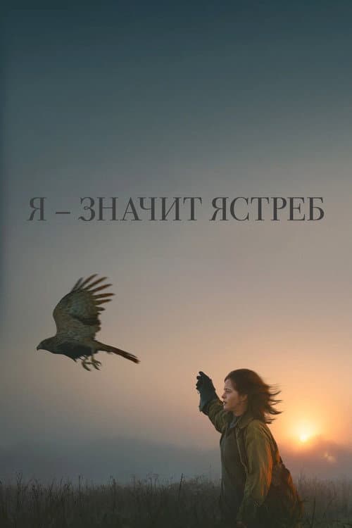 Постер фильма Я — значит Ястреб